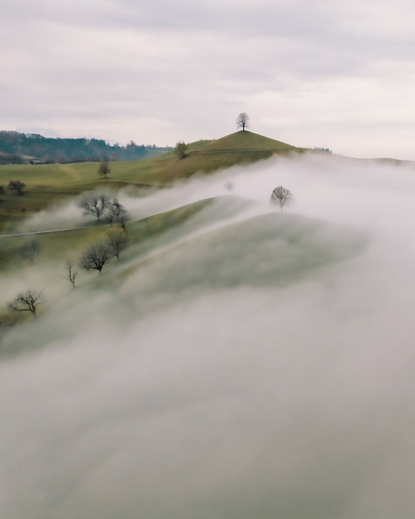 Fog surrounding hills with few trees visible.